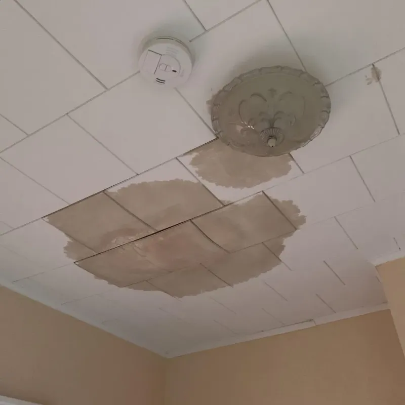Ceiling Water Damage Repair in Erie, PA