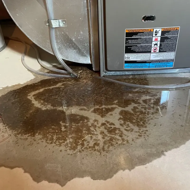 Pipe Burst and Leak Restoration in Erie, PA
