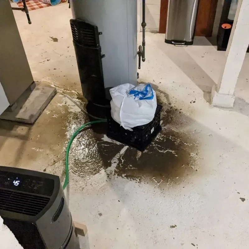 Sewage Backup Cleanup Service in Erie, PA